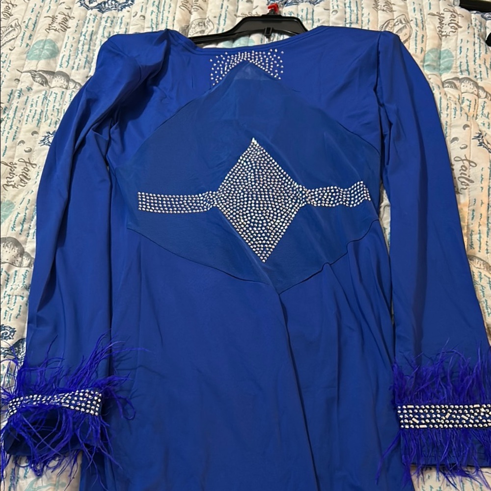 Elegant Blue Dress with Feather Cuffs